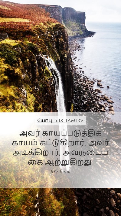 யோபு 5:18 TAMIRV Bible Verse Image