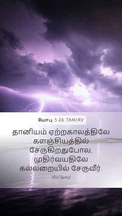 யோபு 5:26 TAMIRV Bible Verse Image