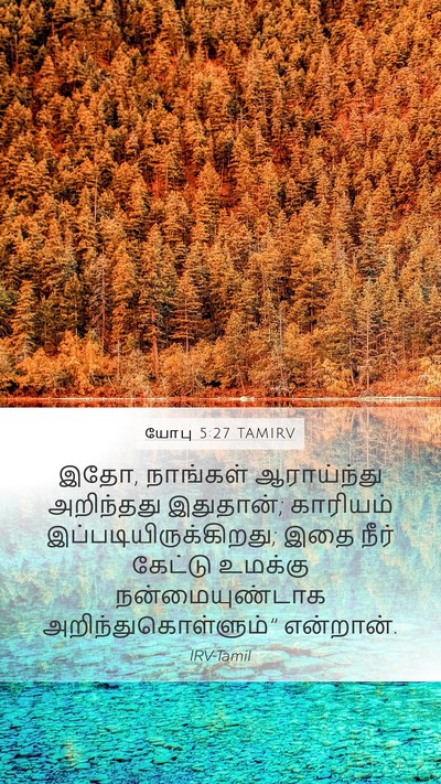 யோபு 5:27 TAMIRV Bible Verse Image
