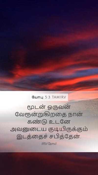 யோபு 5:3 TAMIRV Bible Verse Image