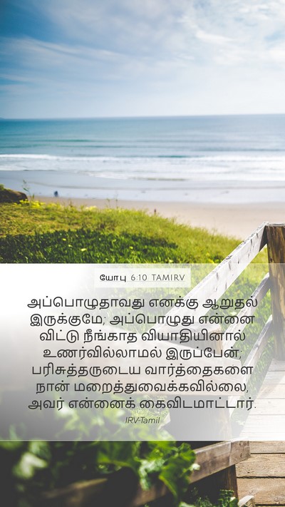 யோபு 6:10 TAMIRV Bible Verse Image
