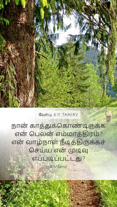 யோபு 6:11 TAMIRV Bible Verse Image