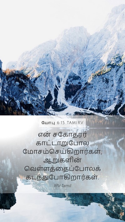 யோபு 6:15 TAMIRV Bible Verse Image