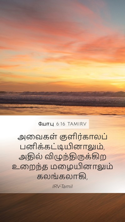 யோபு 6:16 TAMIRV Mobile Phone Wallpaper - அவைகள் - Mobile Bible Verse Wallpaper