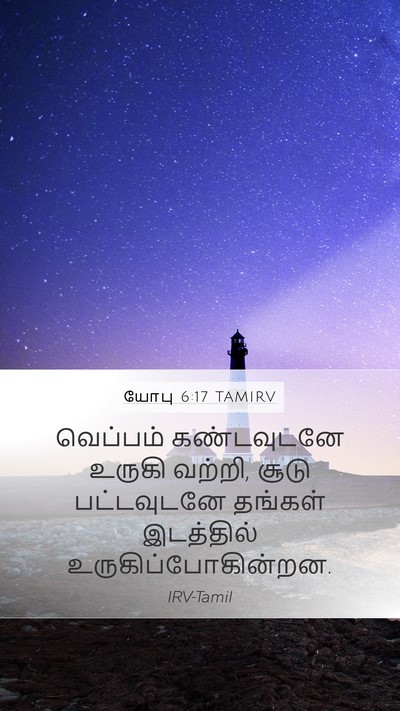 யோபு 6:17 TAMIRV Mobile Phone Wallpaper - வெப்பம் கண்டவுடனே - Mobile Bible Verse Wallpaper