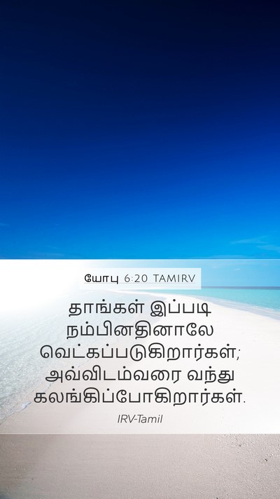 யோபு 6:20 TAMIRV Bible Verse Image