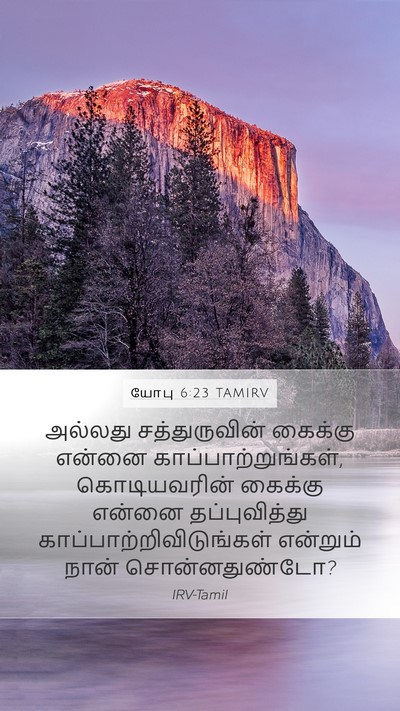 யோபு 6:23 TAMIRV Bible Verse Image