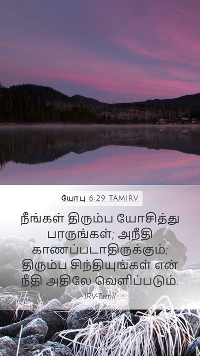 யோபு 6:29 TAMIRV Bible Verse Image