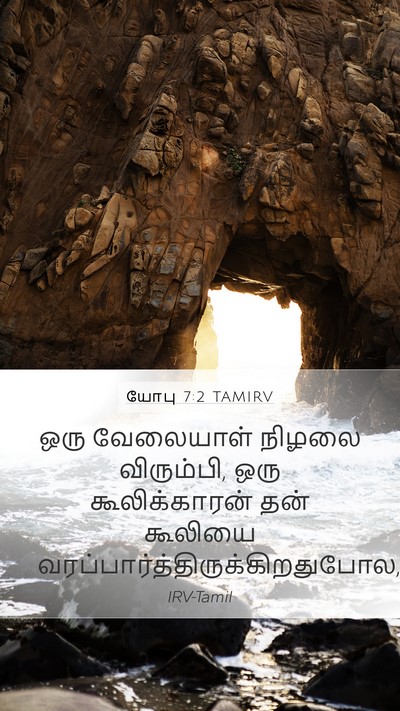 யோபு 7:2 TAMIRV Mobile Phone Wallpaper - ஒரு வேலையாள் - Mobile Bible Verse Wallpaper