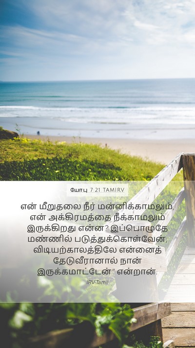 யோபு 7:21 TAMIRV Bible Verse Image