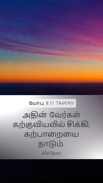 யோபு 8:17 TAMIRV Mobile Phone Wallpaper - அதின் வேர்கள் - Mobile Bible Verse Wallpaper