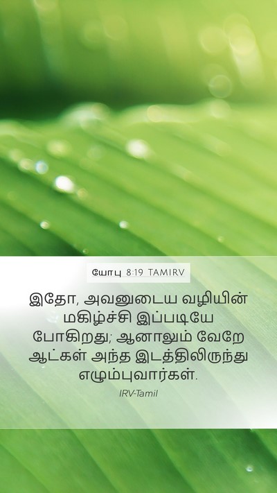 யோபு 8:19 TAMIRV Mobile Phone Wallpaper - இதோ, அவனுடைய - Mobile Bible Verse Wallpaper