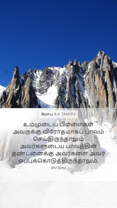 யோபு 8:4 TAMIRV Bible Verse Image
