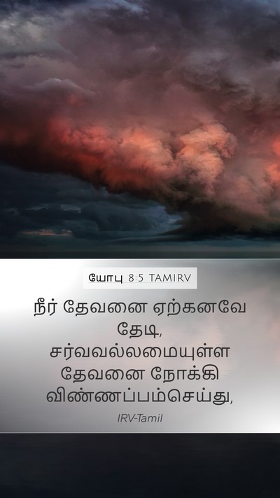 யோபு 8:5 TAMIRV Bible Verse Image