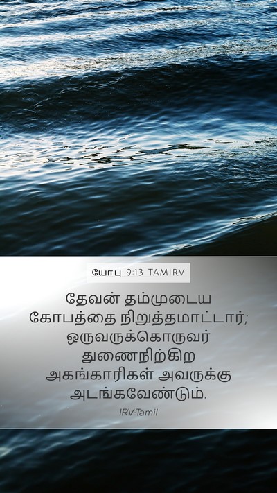 யோபு 9:13 TAMIRV Bible Verse Image
