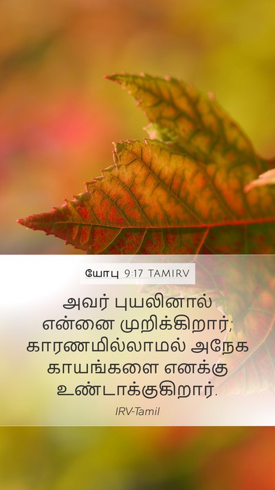 யோபு 9:17 TAMIRV Bible Verse Image