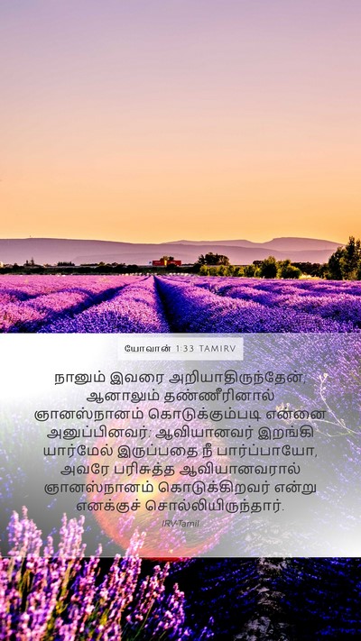 யோவான் 1:33 TAMIRV Bible Verse Image