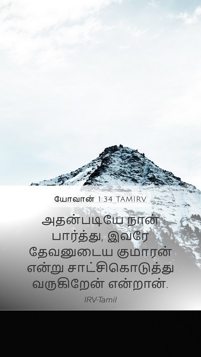 யோவான் 1:34 TAMIRV Bible Verse Image
