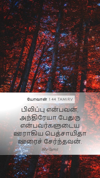 யோவான் 1:44 TAMIRV Bible Verse Image