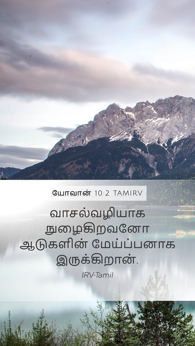 யோவான் 10:2 TAMIRV Mobile Phone Wallpaper - வாசல்வழியாக - Mobile Bible Verse Wallpaper