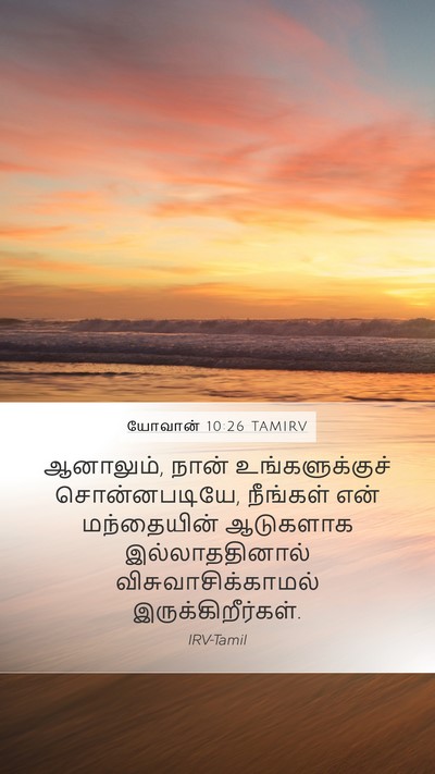 யோவான் 10:26 TAMIRV Bible Verse Image