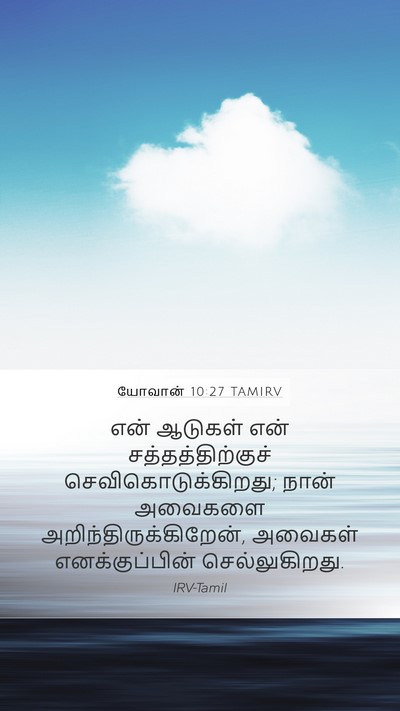 யோவான் 10:27 TAMIRV Bible Verse Image