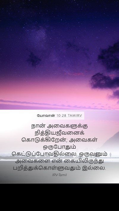 யோவான் 10:28 TAMIRV Bible Verse Image