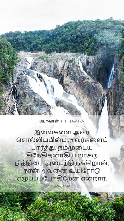 யோவான் 11:11 TAMIRV Bible Verse Image