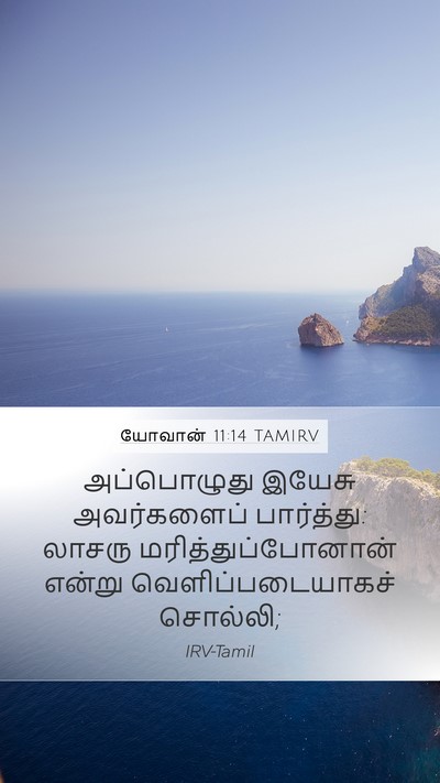யோவான் 11:14 TAMIRV Mobile Phone Wallpaper - அப்பொழுது இயேசு - Mobile Bible Verse Wallpaper