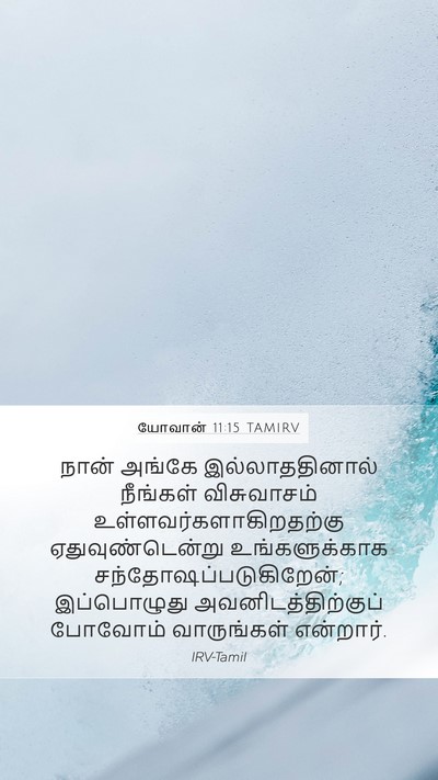 யோவான் 11:15 TAMIRV Mobile Phone Wallpaper - நான் அங்கே - Mobile Bible Verse Wallpaper