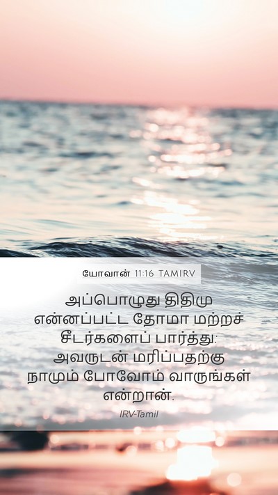 யோவான் 11:16 TAMIRV Bible Verse Image