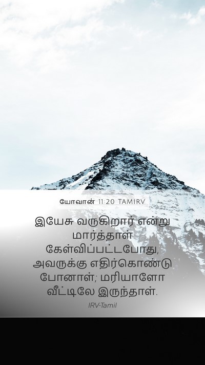 யோவான் 11:20 TAMIRV Mobile Phone Wallpaper - இயேசு வருகிறார் - Mobile Bible Verse Wallpaper