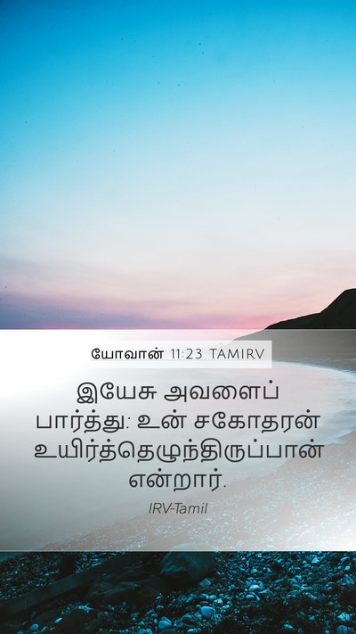 யோவான் 11:23 TAMIRV Mobile Phone Wallpaper - இயேசு அவளைப் - Mobile Bible Verse Wallpaper