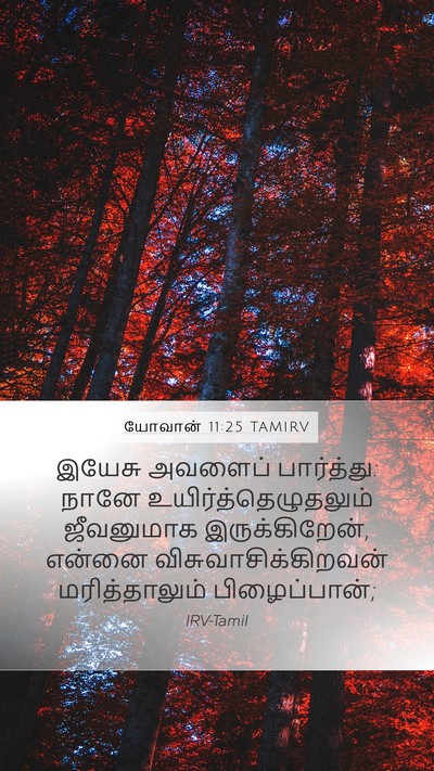 யோவான் 11:25 TAMIRV Bible Verse Image