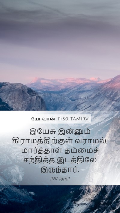 யோவான் 11:30 TAMIRV Bible Verse Image