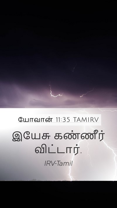 யோவான் 11:35 TAMIRV Bible Verse Image