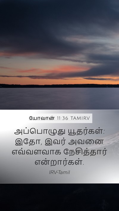 யோவான் 11:36 TAMIRV Bible Verse Image