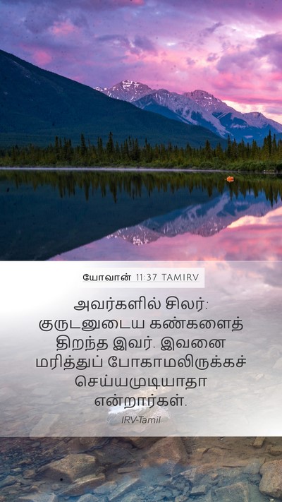 யோவான் 11:37 TAMIRV Bible Verse Image