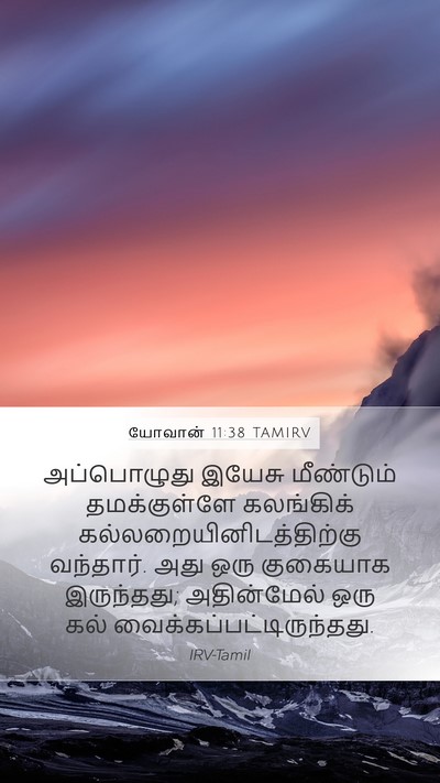 யோவான் 11:38 TAMIRV Bible Verse Image