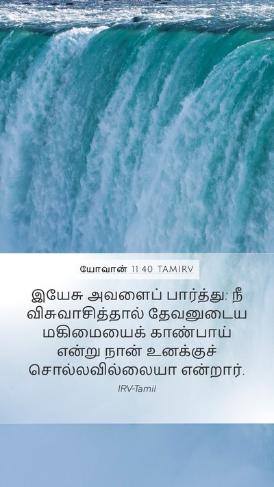 யோவான் 11:40 TAMIRV Bible Verse Image
