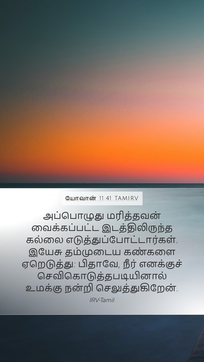 யோவான் 11:41 TAMIRV Bible Verse Image