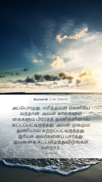 யோவான் 11:44 TAMIRV Bible Verse Image