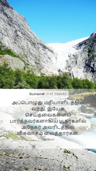 யோவான் 11:45 TAMIRV Bible Verse Image