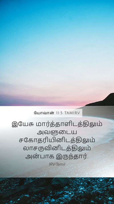யோவான் 11:5 TAMIRV Bible Verse Image