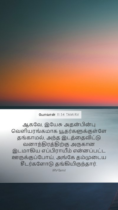 யோவான் 11:54 TAMIRV Bible Verse Image
