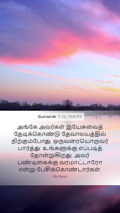 யோவான் 11:56 TAMIRV Bible Verse Image