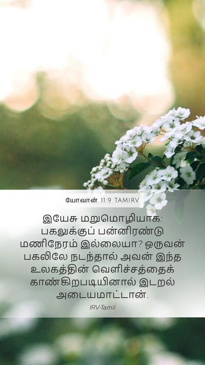 யோவான் 11:9 TAMIRV Bible Verse Image