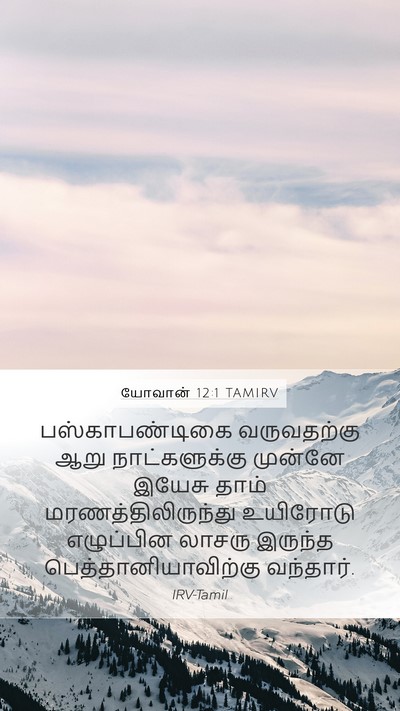 யோவான் 12:1 TAMIRV Bible Verse Image