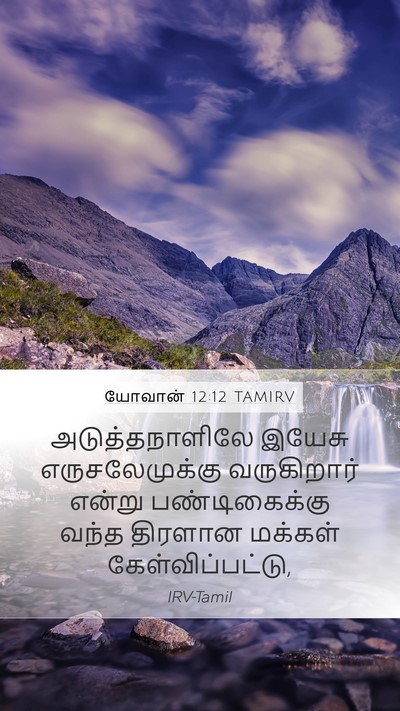 யோவான் 12:12 TAMIRV Bible Verse Image