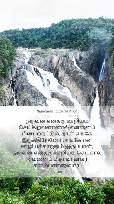 யோவான் 12:26 TAMIRV Bible Verse Image
